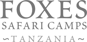 Foxes Safari Camps